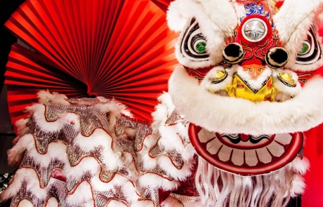 Chinese Lion Dancer 2